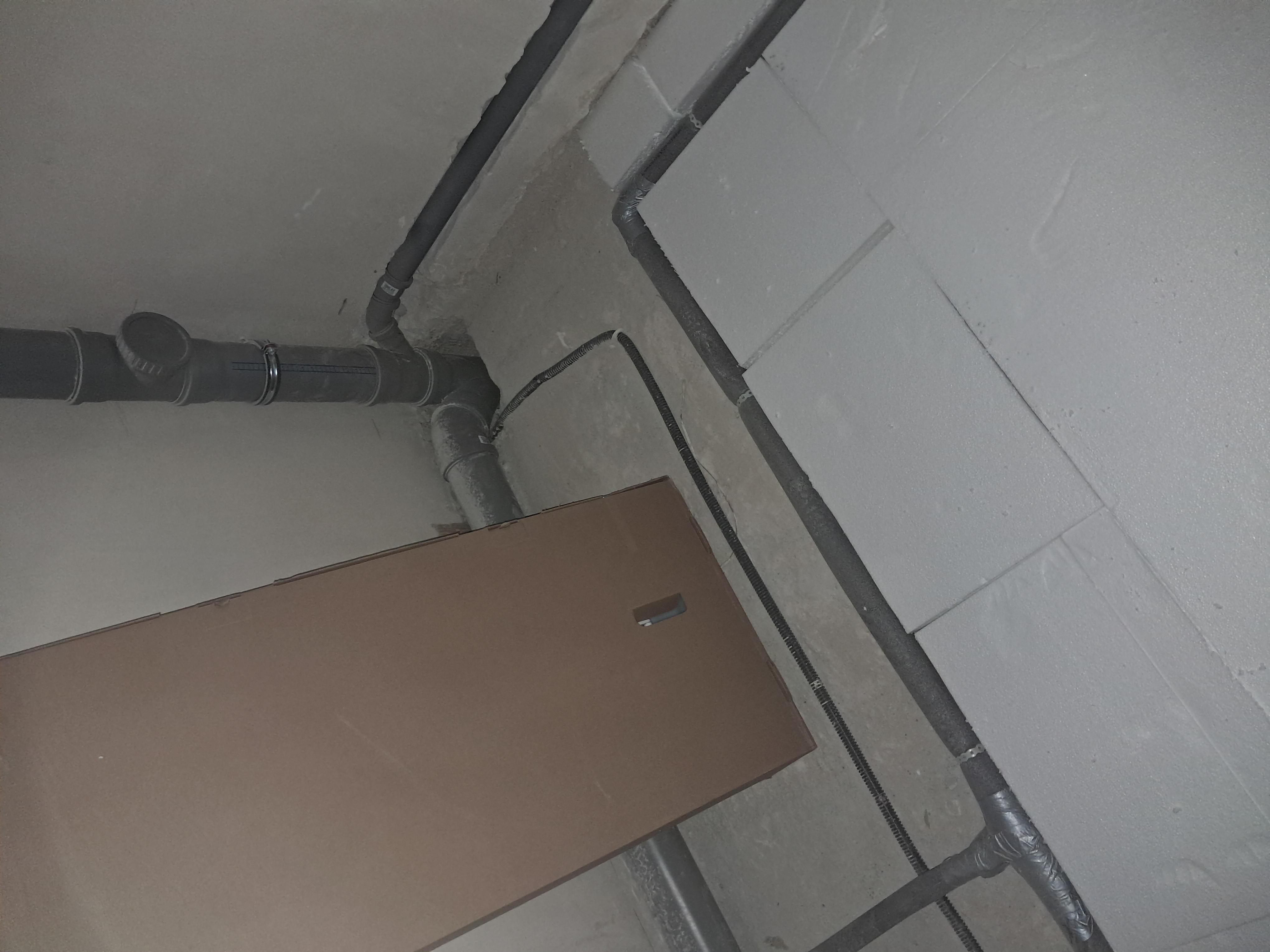 20260722_094924.jpg
